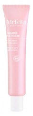 Melvita Source de Roses Gel-Cr&egrave;me Hydra Glow &Eacute;clat Ros&eacute; Bio 40 ml
