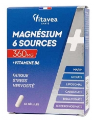 Vitavea Magn&eacute;sium 6 Sources + Vitamine B6 60 G&eacute;lules