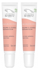 Laboratoires de Biarritz Organic Reparative Lip Balm 2 x 15ml