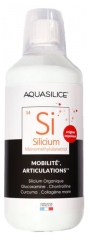 Aquasilice Orgaaninen Piijauhe Nivelille 1 L