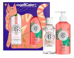 Roger &amp; Gallet Fleur de Figuier Coffret Eau Parfum&eacute;e Bienfaisante 100 ml + Lait Corps Bienfaisant 250 ml Offert