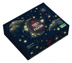Th&eacute;s de la Pagode Entdeckungsset 4 Tees Bio-Geschmack 32 Beutel