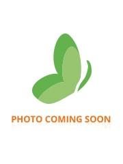 Elison Grande Presilha Cabelos Finos