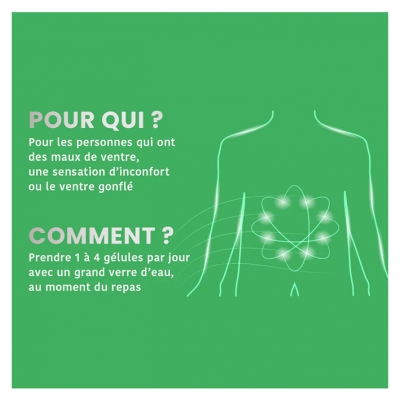 Santarome Gaz & Ballonnements Bio 30 Gélules