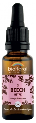 Biofloral Bachblüten Verstehen Akzeptanz Akzeptanz Akzeptanz Buche Nr. 3 Bio 20 ml