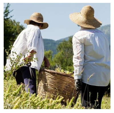 Korres Lenços de Limpeza Detox Intensivos 30 Lenços