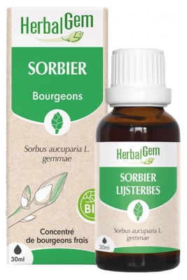 HerbalGem Bio Røn Sorbier 30 ml