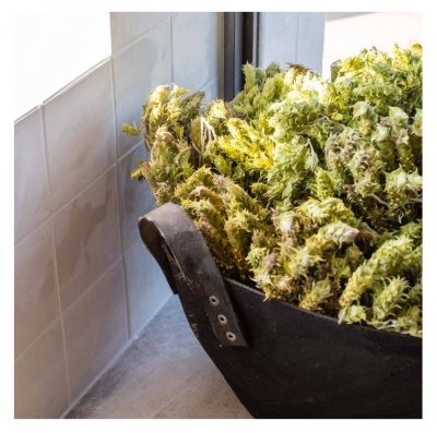 Korres Čistící Tonizující Detoxikační Emulze 150 ml