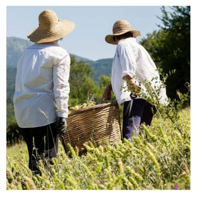 Korres Emulsão de Limpeza, Tonificação e Desintoxicação 150 ml
