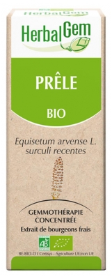 HerbalGem Organic Horsetail 30ml