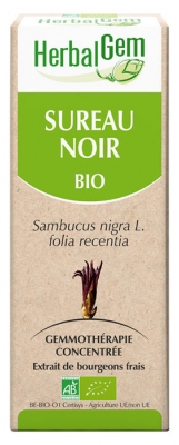 HerbalGem Organic Elderberry 30 ml