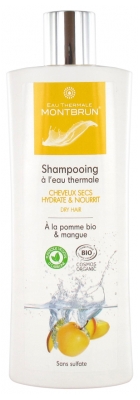 Montbrun Organic Shampoo with Thermal Water Dry Hair 250ml