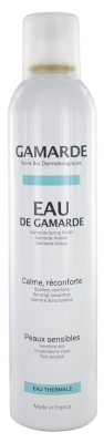 Gamarde Spring Water 250ml