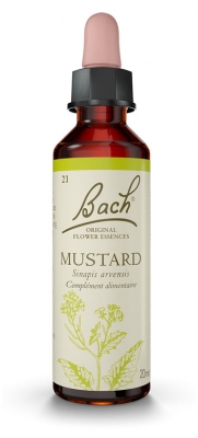 Fleurs de Bach Original Musztarda 20 ml