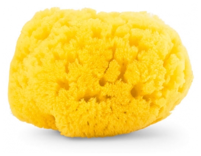 Chicco Natural Sea Sponge Medium 0 Month and +