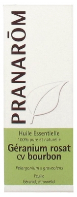 Pranarôm Essential Oil Rose Geranium cv Bourbon (Pelargonium x Graveolens) 10 ml