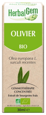 HerbalGem Organic Olive Tree 30ml