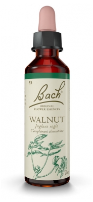 Fleurs de Bach Original Walnut 20ml