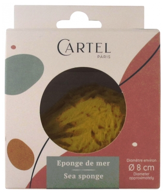 Cartel Paris Natürlicher Meeresschwamm 8 cm