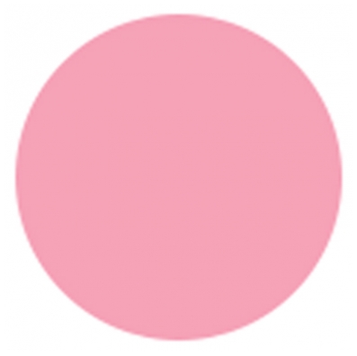 3 Claveles Charlotte - Colour: Pink