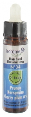 Ladrôme Fleurs De Bach Elixir Floral N°34 : Prunus Bio 10 ml