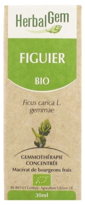 HerbalGem Figuier Bio 30 ml
