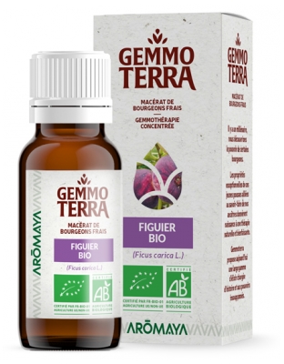 Gemmo Terra Fig Tree Organic 30 ml