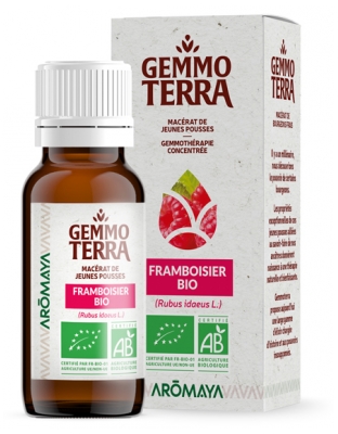 Gemmo Terra Maceração de Jovens Brotos de Framboesa Biológico 30 ml