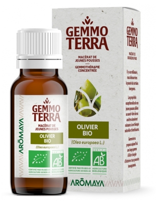 Gemmo Terra Maceraat van Jonge Olijfscheuten Bio 30 ml