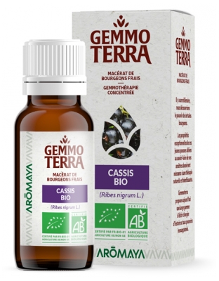 Gemmo Terra Luonnonmukainen Tuoreiden Silmujen Maseeraatti Mustaherukka 30 ml