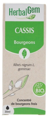 HerbalGem Organic Blackcurrant 30ml