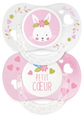 Luc et Léa 2 Soothers With Ring Anatomic Silicone 0-6 Months - Model: Rabbit + Heart