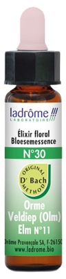 Ladrôme Fleurs De Bach Elixir Floral N°30 : Orme Bio 10 ml