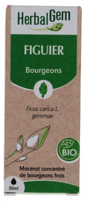 HerbalGem Fig Tree Organic 30 ml