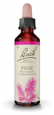 Fleurs de Bach Original Pine 20 ml
