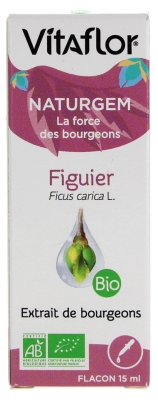 Vitaflor Naturgem Extrait de Bourgeons Figuier Bio 15 ml
