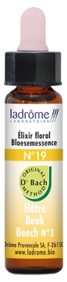 Ladrôme Flowers of Bach Floral Elixir N°19: Beech Organic 10ml