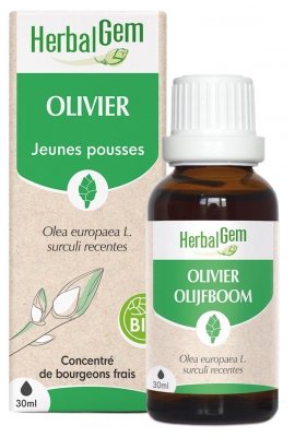 HerbalGem Bio-Olivenbaum 30 ml
