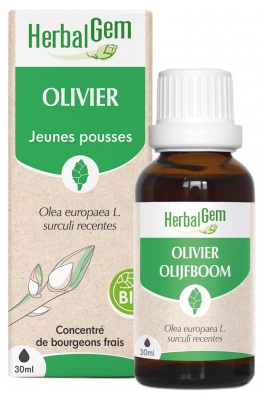 HerbalGem Olivo Biologico 30 ml