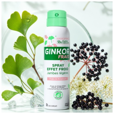 Ginkor Frais Spray Effet Froid Jambes Légères 125 ml