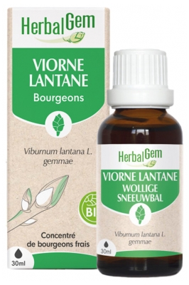 HerbalGem Viburnum Lantana BIO 30 ml