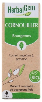 HerbalGem Cornouiller Bio 30 ml