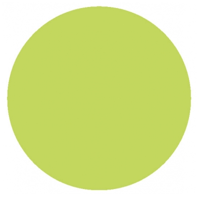 Powerscan KFT-04B Thermomètre Électronique - Couleur : Vert Anis