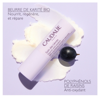 Caudalie Vinotherapist Soin des Lèvres 4,5 g