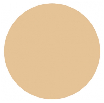 Vichy Liftactiv Flexiteint Anti-Wrinkle Foundation SPF20 30ml - Colour: 25 : Nude