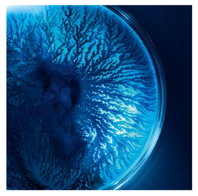 Biotherm Life Plankton Essence-In-Mask Masque Actif Fondamental 6 Masques