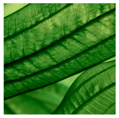 Biotherm Aquasource Deep Serum Hydratation et Lumière 50 ml