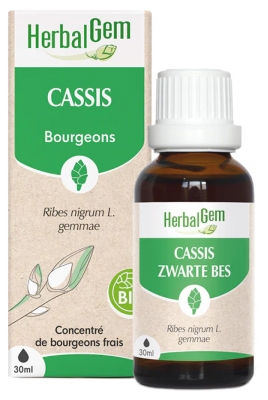 HerbalGem Schwarze Johannisbeere Bio 30 ml