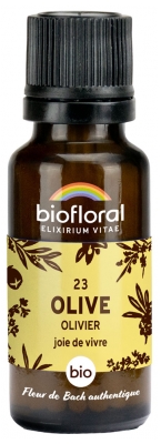 Biofloral Granuler 23 Olive - Olivträd Bio 19,5 g
