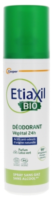 Etiaxil 24h Organiczny Dezodorant Roślinny 100 ml
